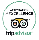 TripAdvisor